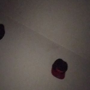 Meet your Posher, Ceaser